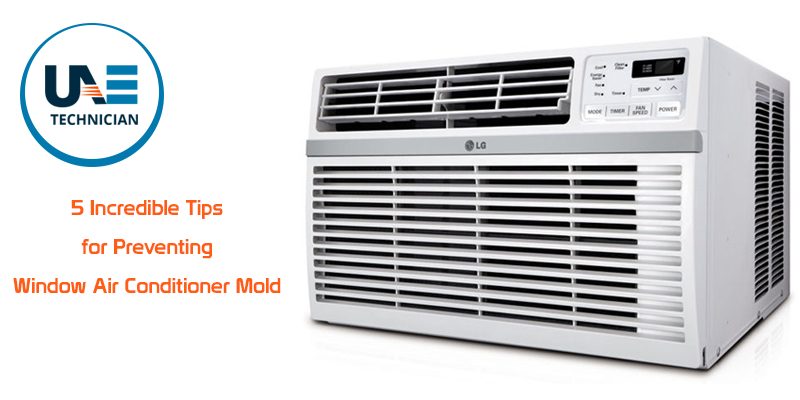 Tips for Preventing Window Air Conditioner Mold