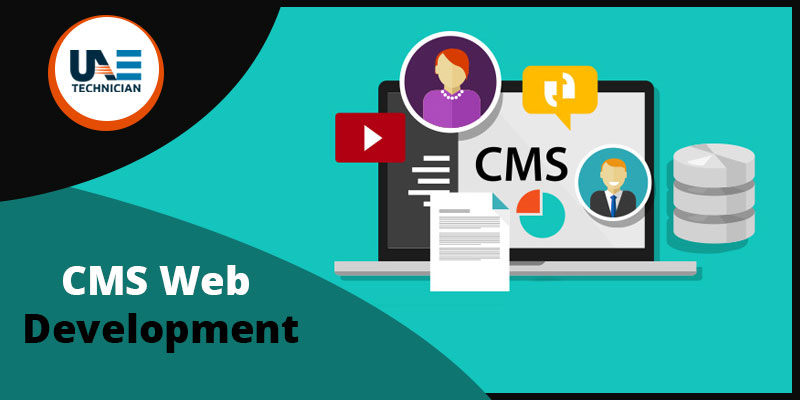 CMS web development