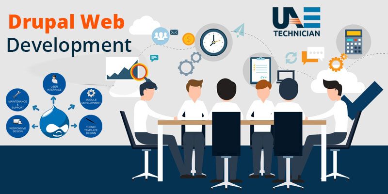 drupal web development consultant