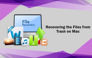 Recovering the Files from Trash on Mac