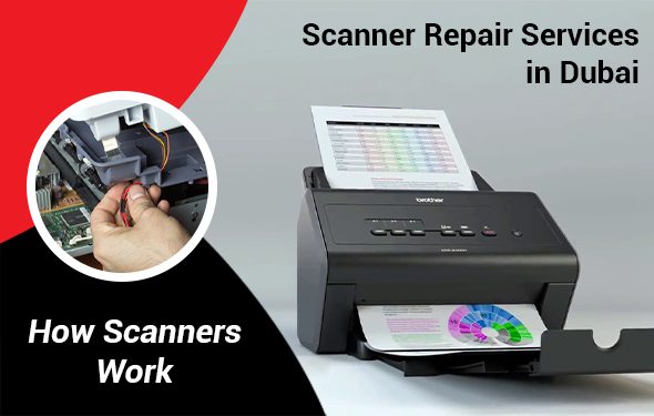 A Comprehensive Guide on how Scanners Work